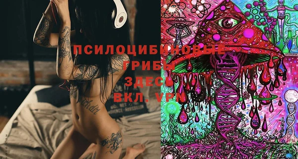 стафф Беломорск