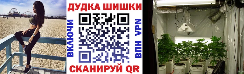 купить наркотики цена  Ростов-на-Дону  Конопля ГИДРОПОН 